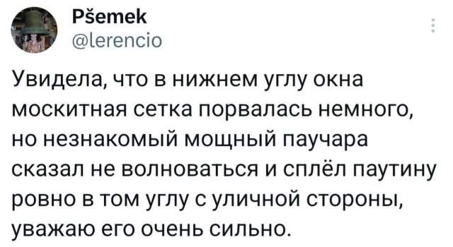 Подборка забавных твитов обо всем Подборка забавных твитов обо всем