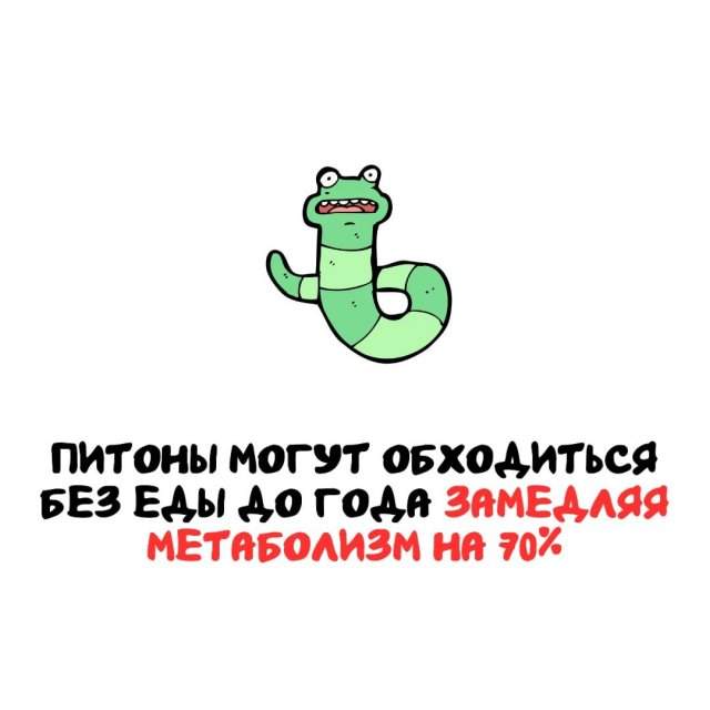 Интересные факты на все случаи жизни