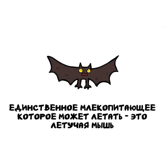 Интересные факты на все случаи жизни