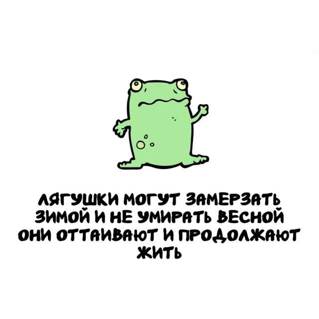 Интересные факты на все случаи жизни