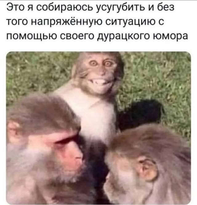 Лучшие шутки и мемы из Сети - 05.09.2025 Лучшие шутки и мемы из Сети - 05.09.2025