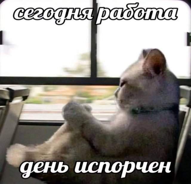 Лучшие шутки и мемы из Сети - 05.09.2025 Лучшие шутки и мемы из Сети - 05.09.2025