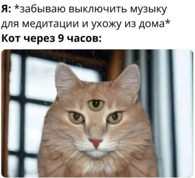 Лучшие шутки и мемы из Сети - 05.09.2025 Лучшие шутки и мемы из Сети - 05.09.2025