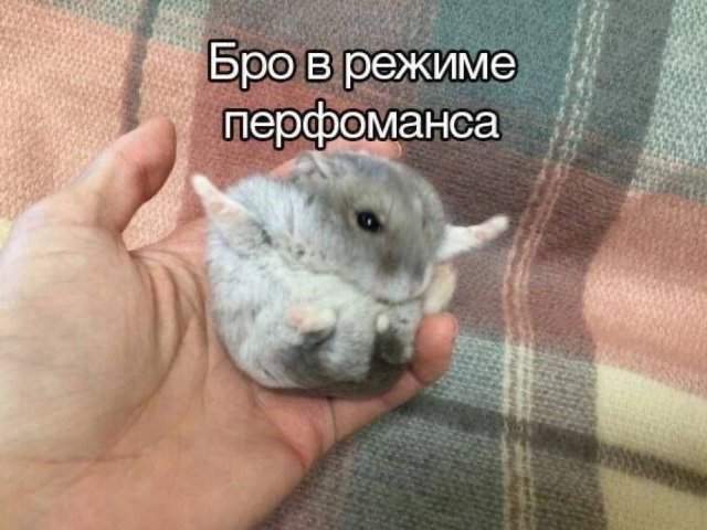 Смешные мемы - 08.09.2025