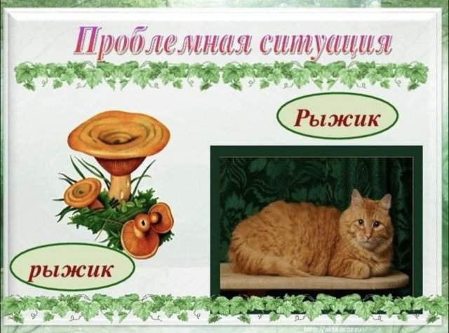 Лучшие шутки и картинки из Сети - 08.09.2025