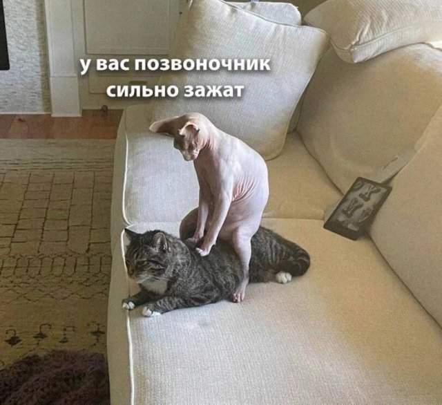 Лучшие шутки и картинки из Сети - 08.09.2025 Лучшие шутки и картинки из Сети - 08.09.2025