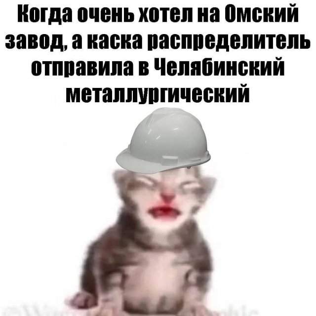 Лучшие шутки и картинки из Сети - 08.09.2025 Лучшие шутки и картинки из Сети - 08.09.2025