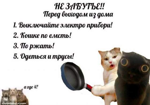 Лучшие шутки и картинки из Сети - 08.09.2025 Лучшие шутки и картинки из Сети - 08.09.2025