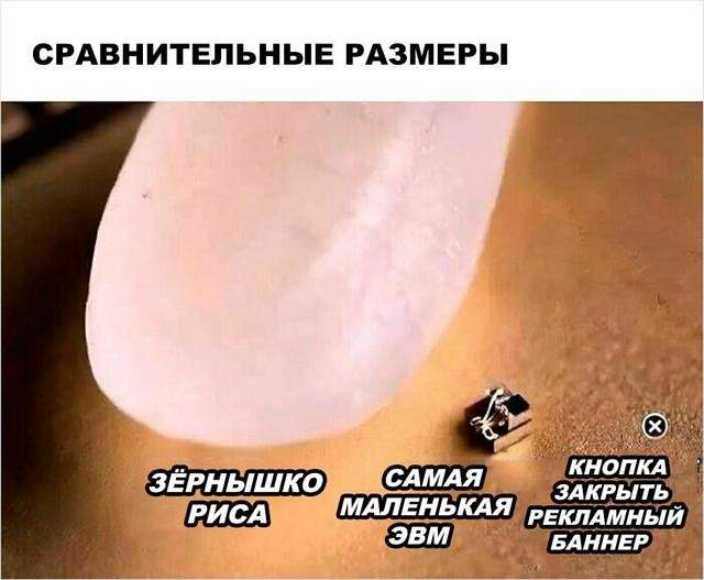 Смешные мемы об ежедневных трудностях жизни