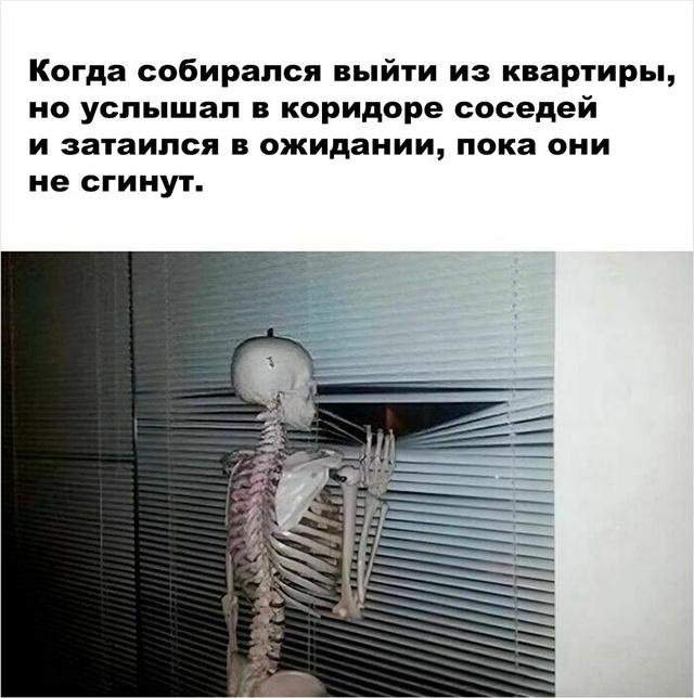 Смешные мемы об ежедневных трудностях жизни