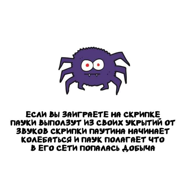 Интересные факты на все случаи жизни