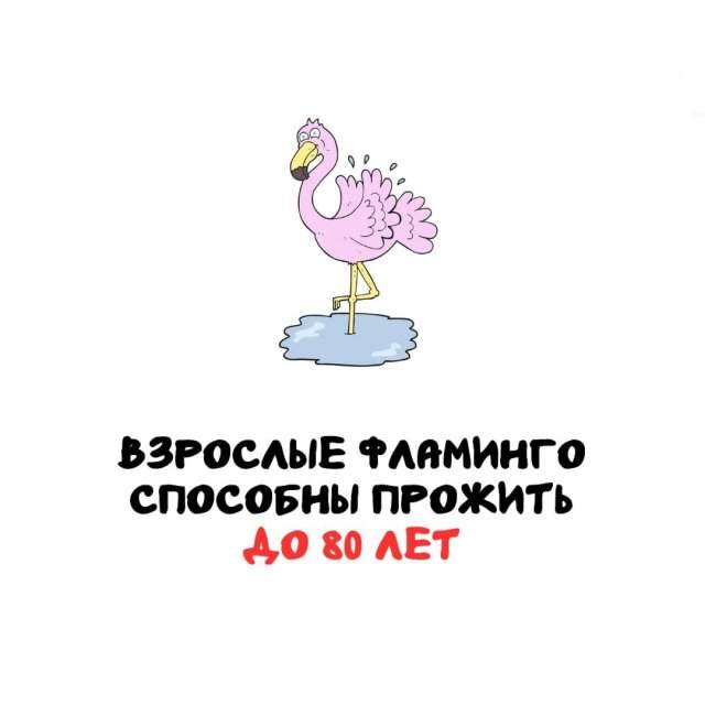 Интересные факты на все случаи жизни