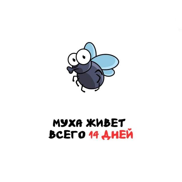 Интересные факты на все случаи жизни