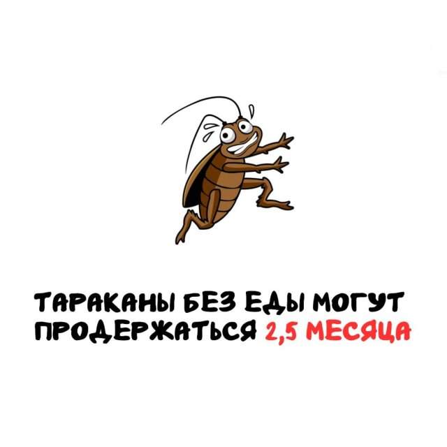 Интересные факты на все случаи жизни