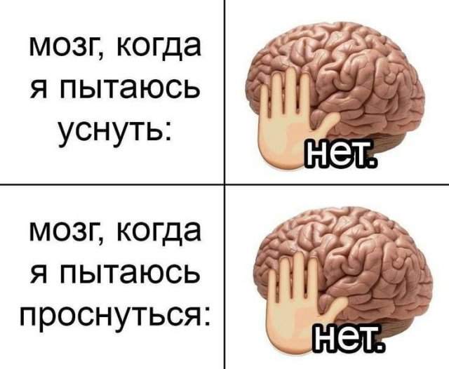 Лучшие шутки и мемы из Сети - 09.09.2025