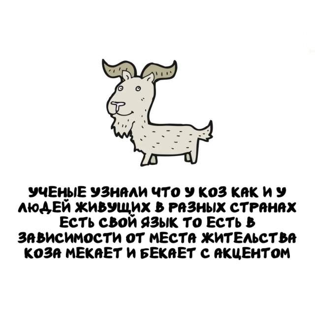 Интересные факты на все случаи жизни Интересные факты на все случаи жизни