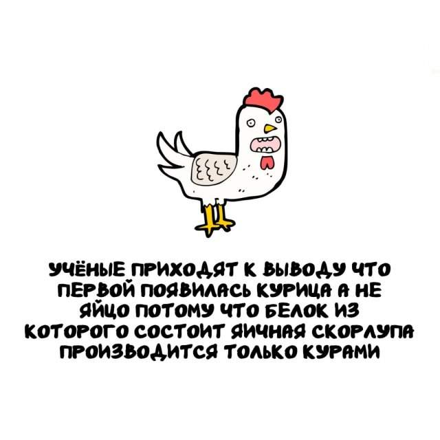 Интересные факты на все случаи жизни Интересные факты на все случаи жизни