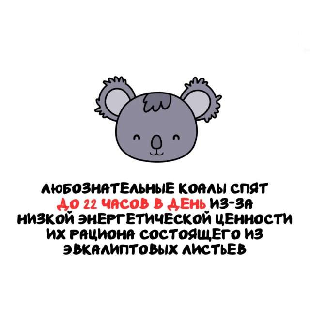 Интересные факты на все случаи жизни Интересные факты на все случаи жизни