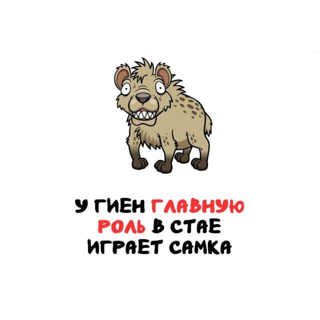 Интересные факты на все случаи жизни Интересные факты на все случаи жизни