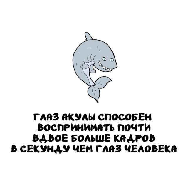 Интересные факты на все случаи жизни Интересные факты на все случаи жизни