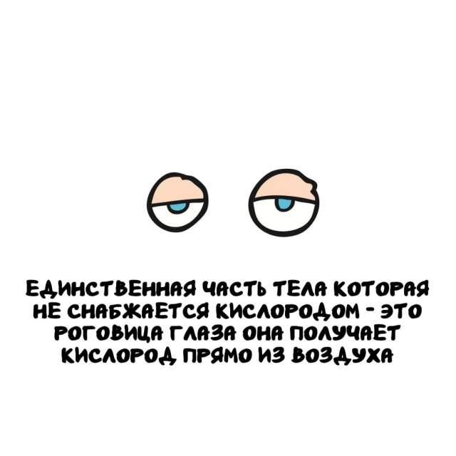 Интересные факты на все случаи жизни Интересные факты на все случаи жизни