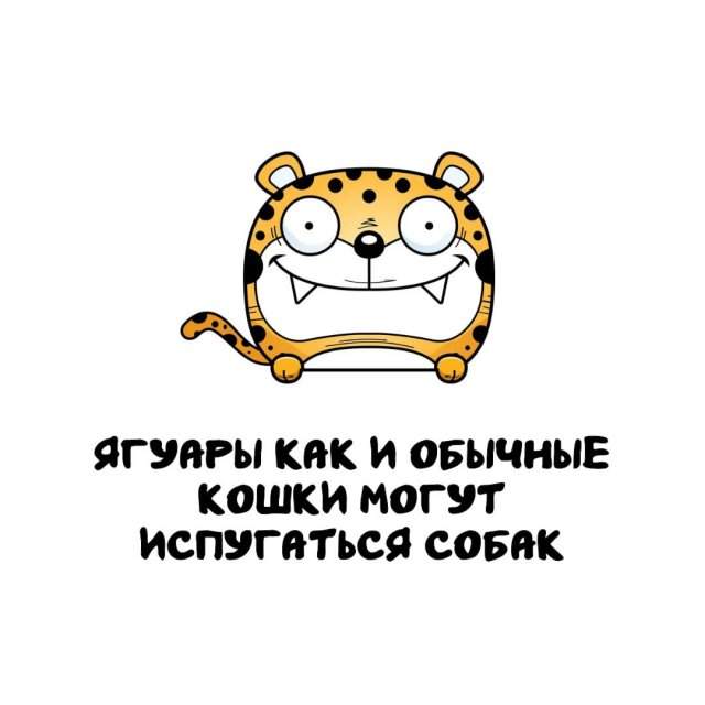 Интересные факты на все случаи жизни Интересные факты на все случаи жизни