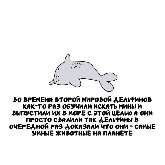 Интересные факты на все случаи жизни Интересные факты на все случаи жизни
