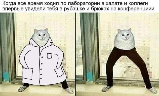Лучшие шутки и мемы из Сети - 10.09.2025