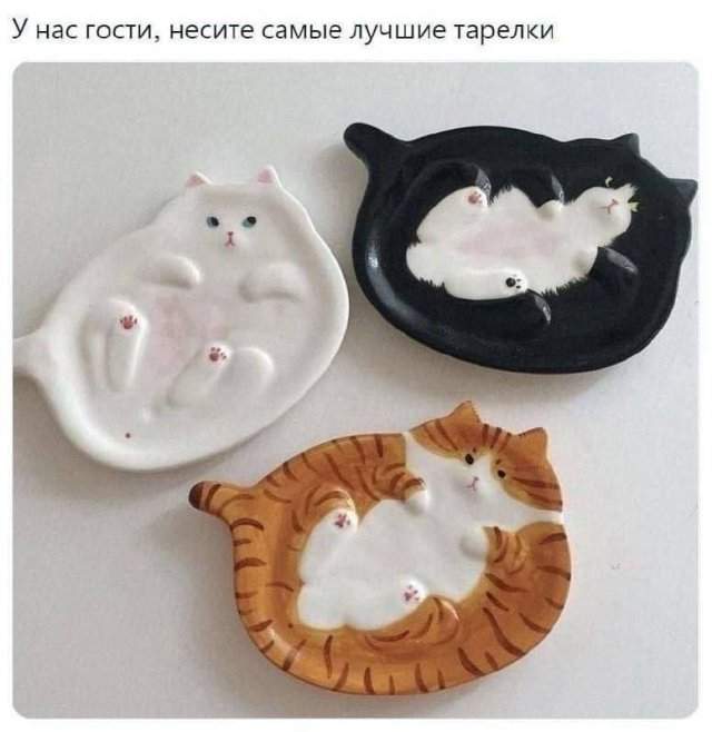 Смешные мемы - 11.09.2025