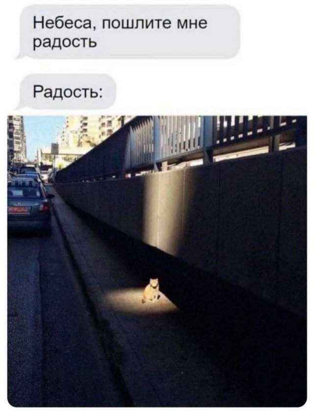 Смешные мемы - 11.09.2025