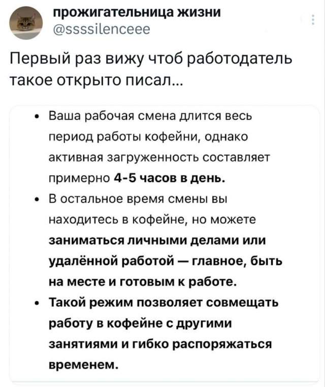 Подборка забавных твитов обо всем