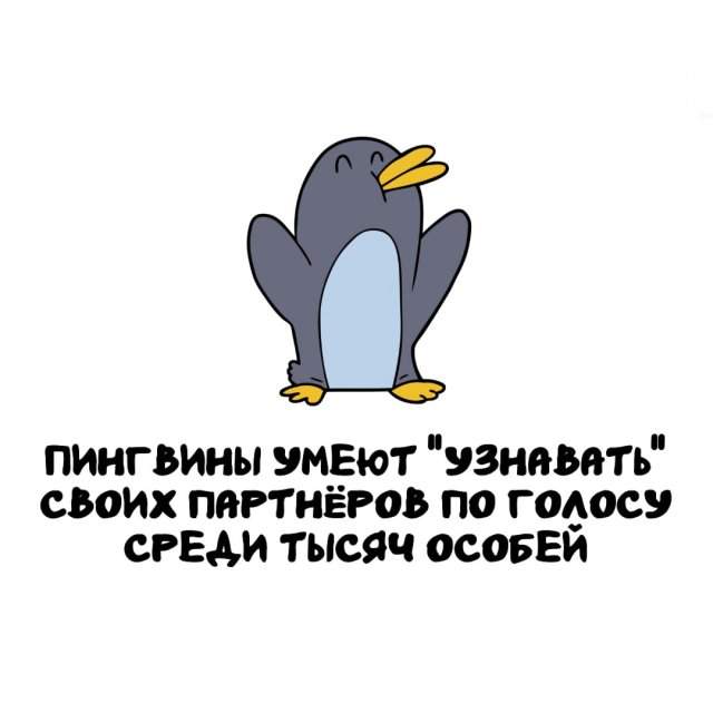 Интересные факты на все случаи жизни Интересные факты на все случаи жизни