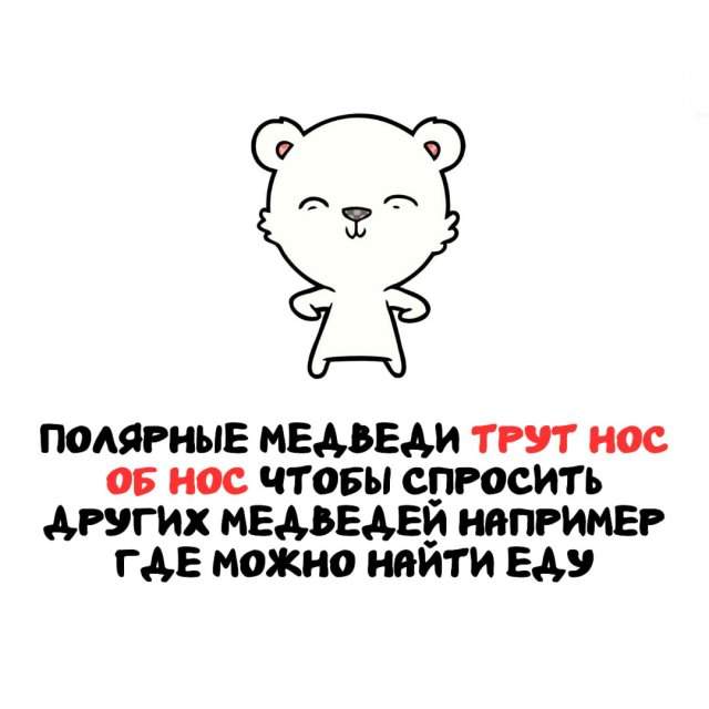 Интересные факты на все случаи жизни Интересные факты на все случаи жизни