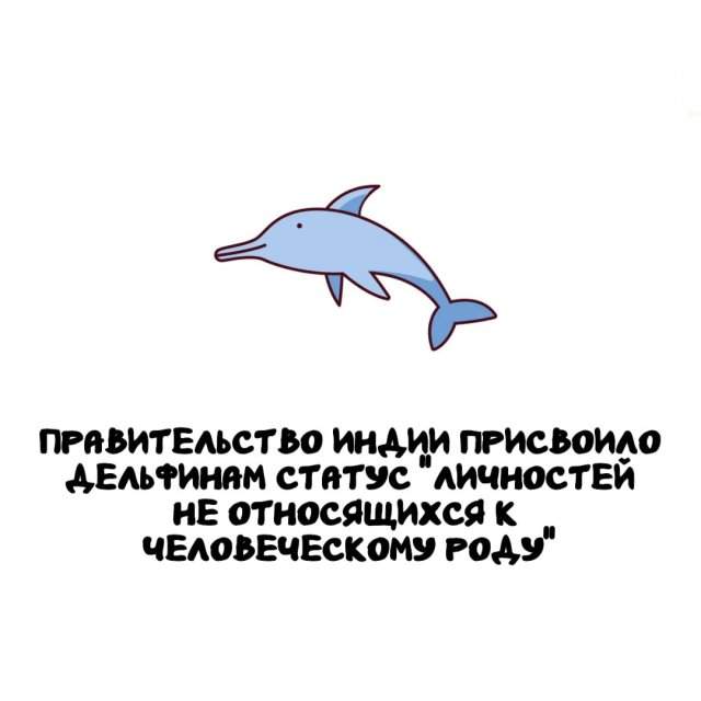 Интересные факты на все случаи жизни Интересные факты на все случаи жизни
