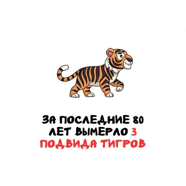 Интересные факты на все случаи жизни Интересные факты на все случаи жизни