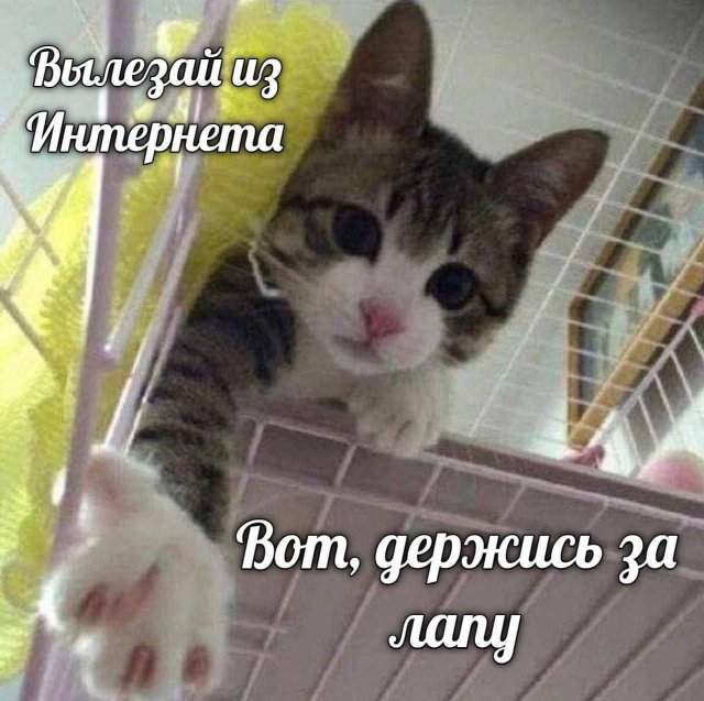 Подборка картинок. Вечерний выпуск - 11.09.2025 Подборка картинок. Вечерний выпуск - 11.09.2025