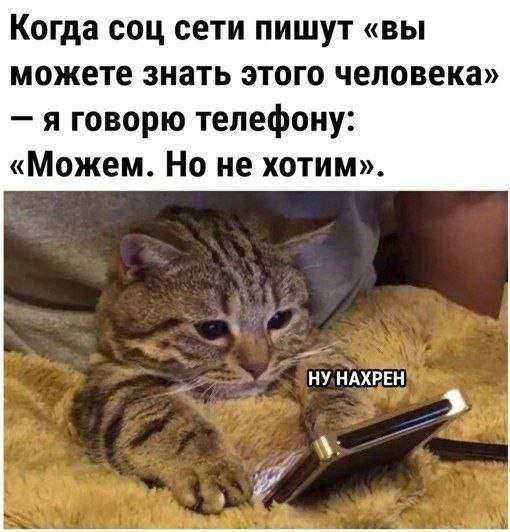 Лучшие шутки и мемы из Сети - 11.09.2025