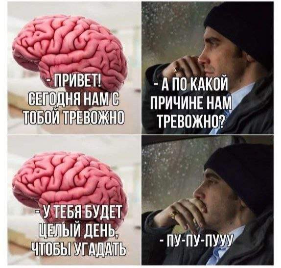 Лучшие шутки и мемы из Сети - 11.09.2025
