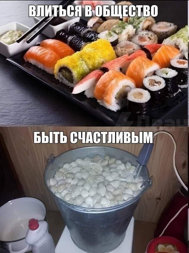 Лучшие шутки и мемы из Сети - 11.09.2025
