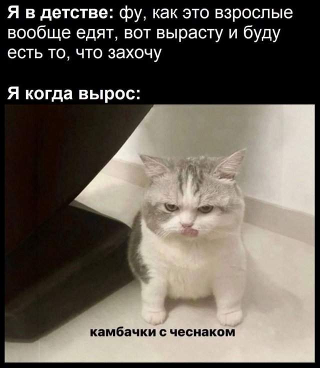 Смешные картинки - 12.09.2025 Смешные картинки - 12.09.2025