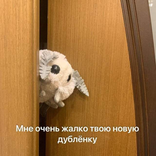 Смешные картинки - 12.09.2025 Смешные картинки - 12.09.2025