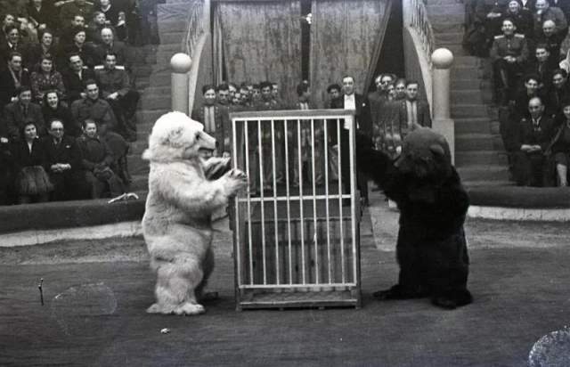 1950-е. Клоунский дуэт: Демаш и Мозельм