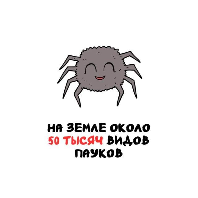 Интересные факты на все случаи жизни Интересные факты на все случаи жизни