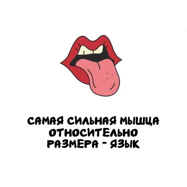 Интересные факты на все случаи жизни Интересные факты на все случаи жизни