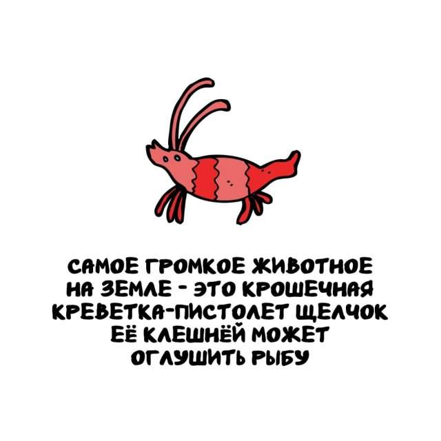 Интересные факты на все случаи жизни Интересные факты на все случаи жизни
