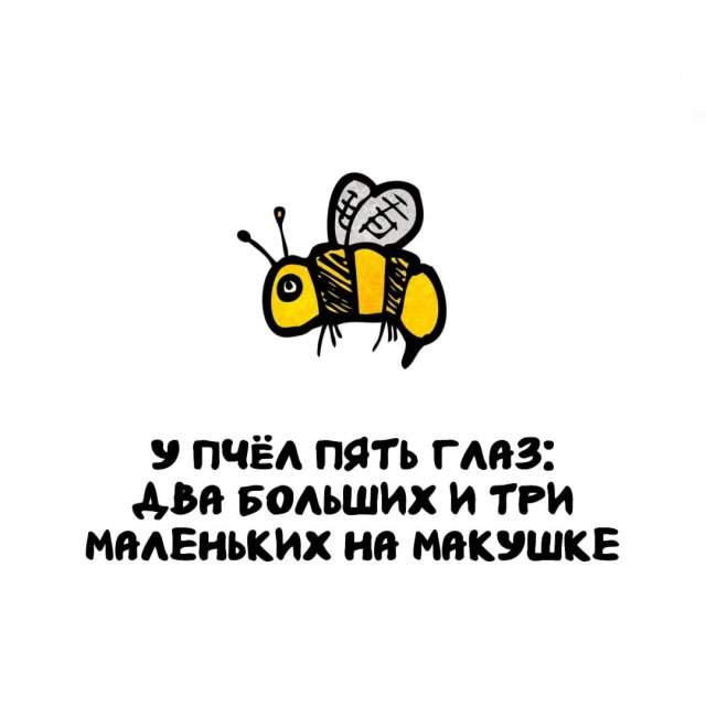 Интересные факты на все случаи жизни Интересные факты на все случаи жизни