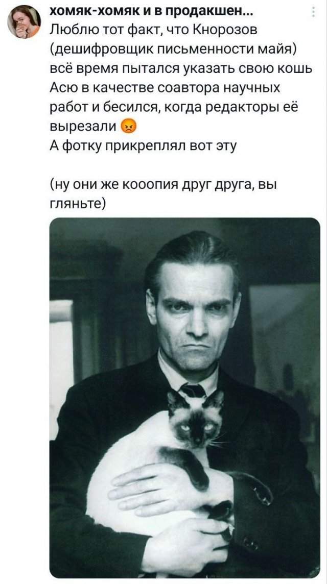 Подборка забавных твитов обо всем