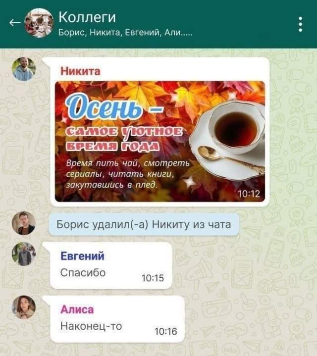 Подборка картинок. Вечерний выпуск - 15.09.2025 Подборка картинок. Вечерний выпуск - 15.09.2025