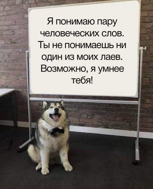 Лучшие шутки и мемы из Сети - 15.09.2025