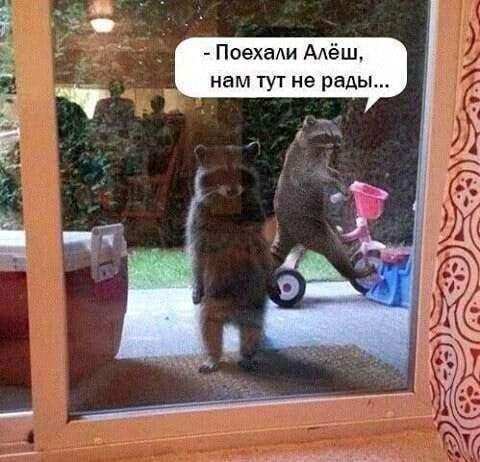 Лучшие шутки и мемы из Сети - 15.09.2025 Лучшие шутки и мемы из Сети - 15.09.2025